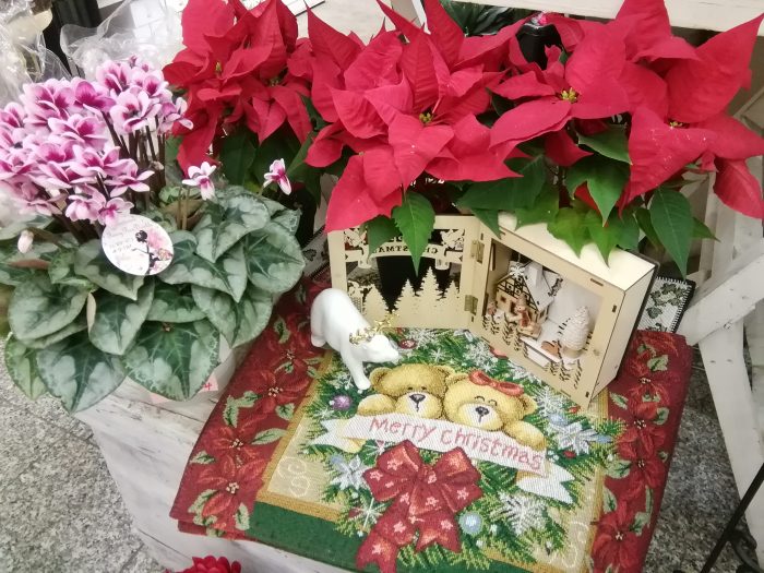 お花で楽しむクリスマス！