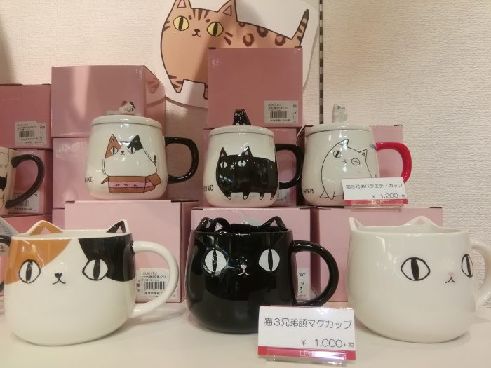 ネコちゃんに癒される！